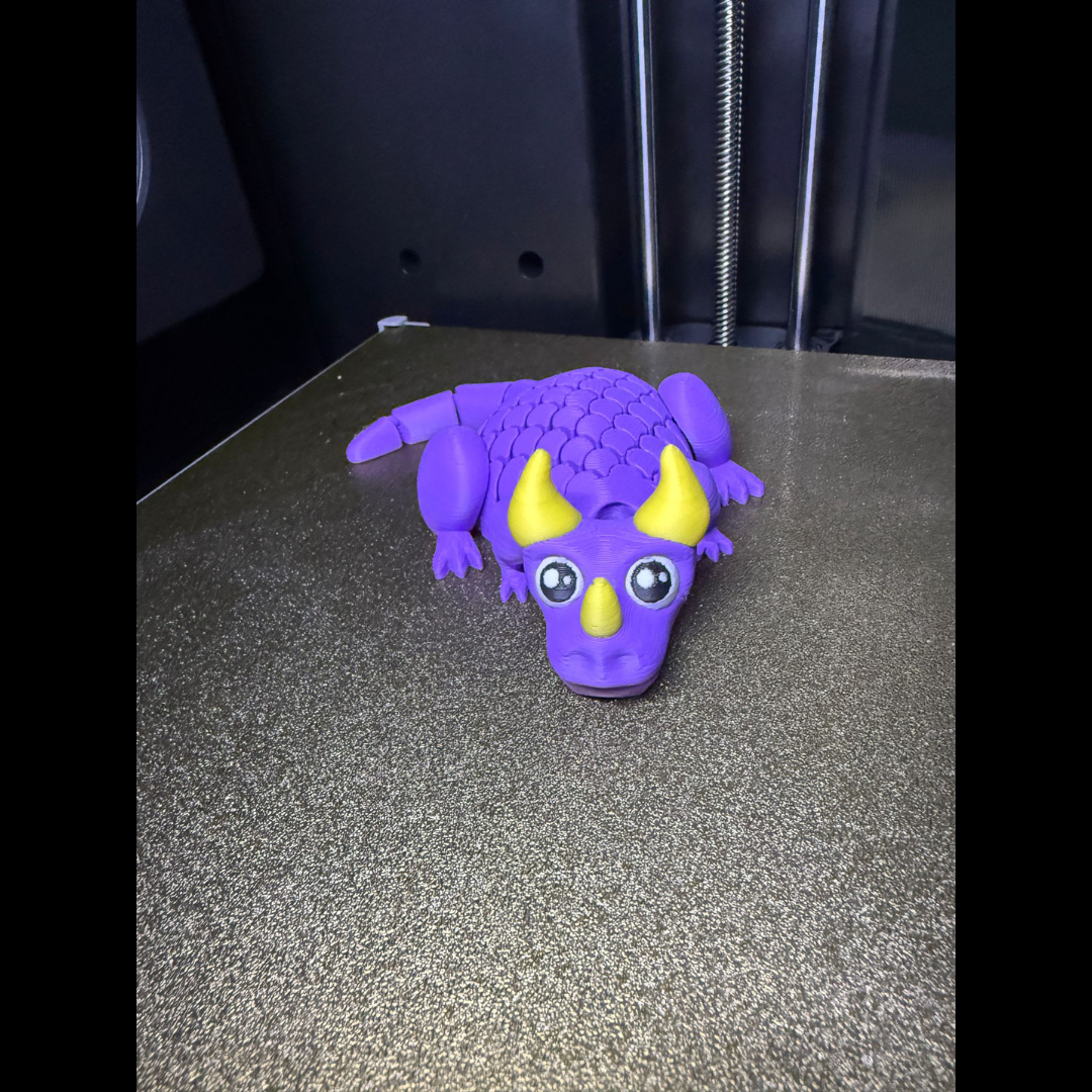 Flexi dragon